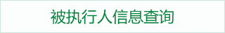 被执行人信息查询